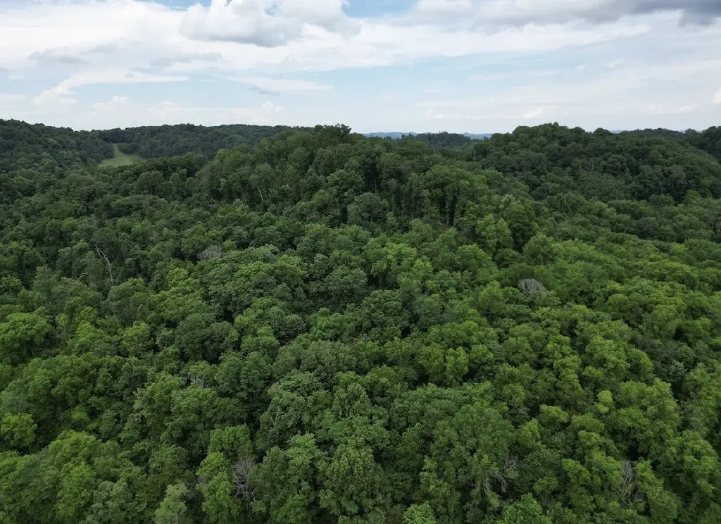 98 Hackett Valley Road Hickman TN 38567