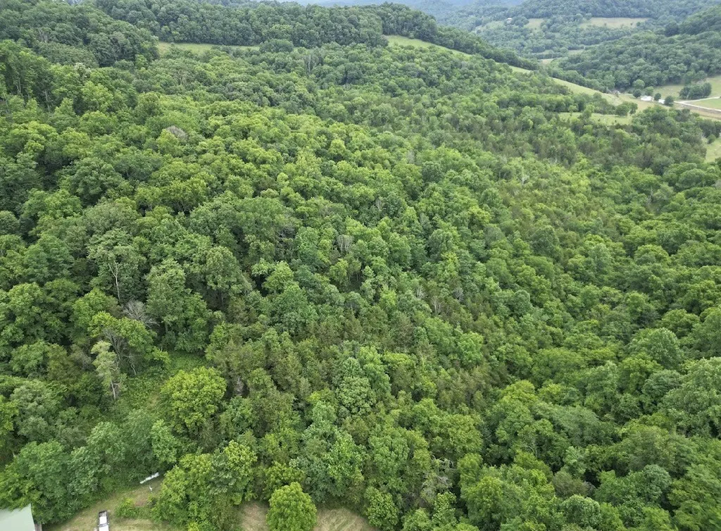 98 Hackett Valley Road Hickman TN 38567