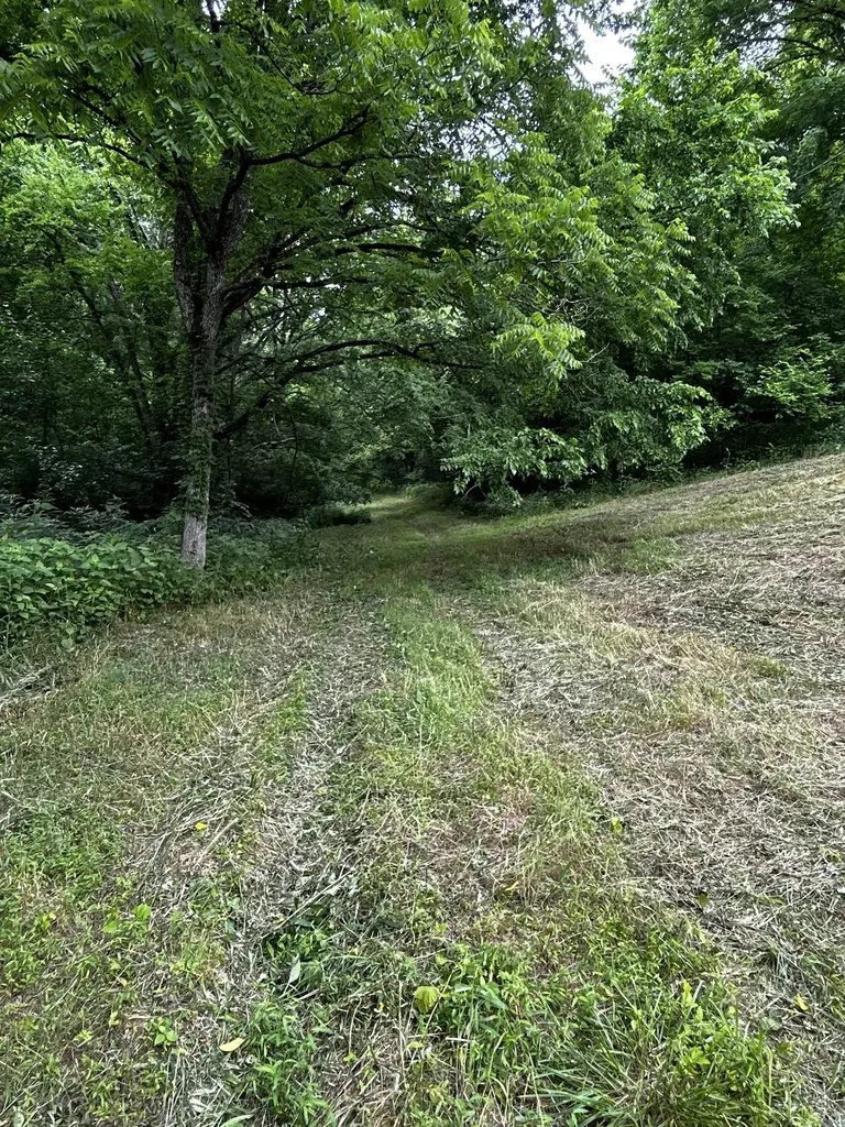 98 Hackett Valley Road Hickman TN 38567