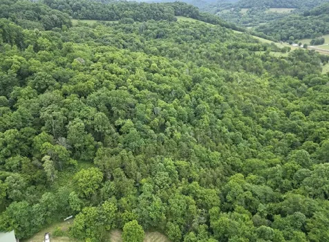 98 Hackett Valley Road Hickman TN 38567