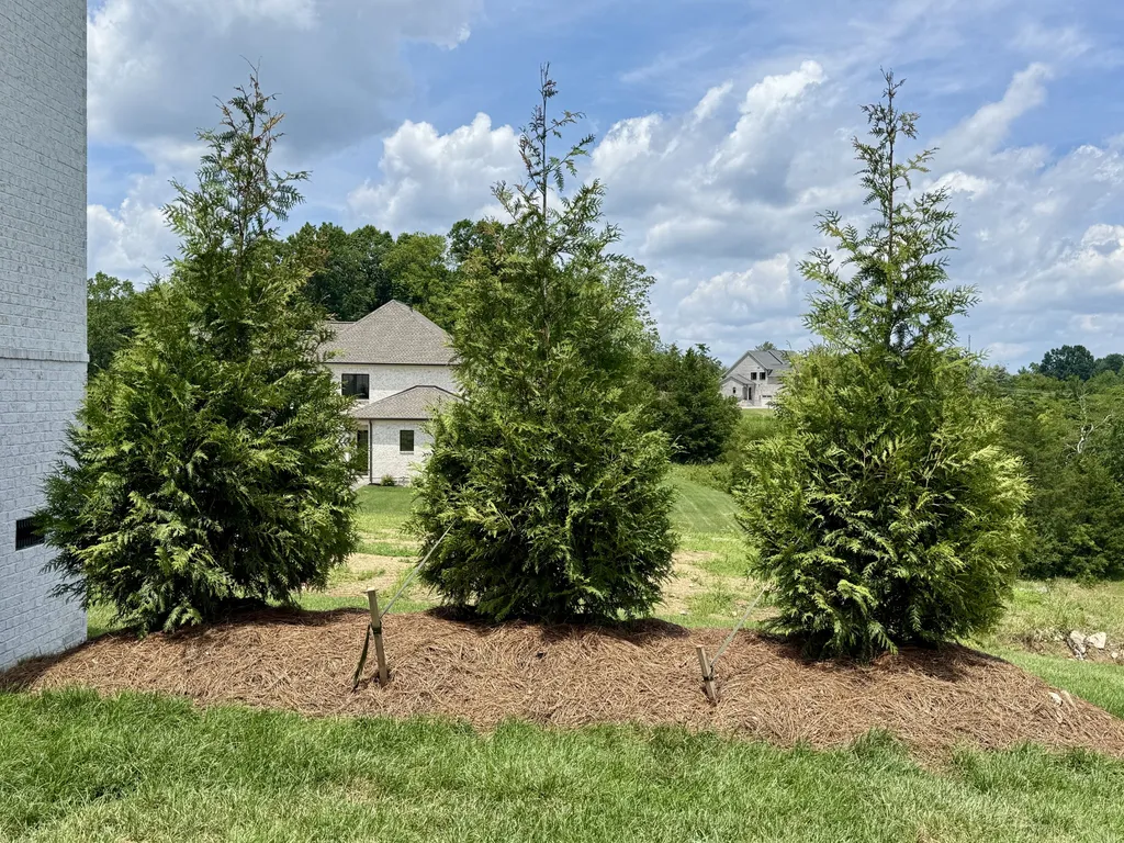 1954 Napa Drive Brentwood TN 37027