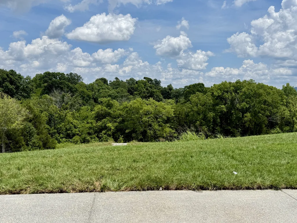 1954 Napa Drive Brentwood TN 37027