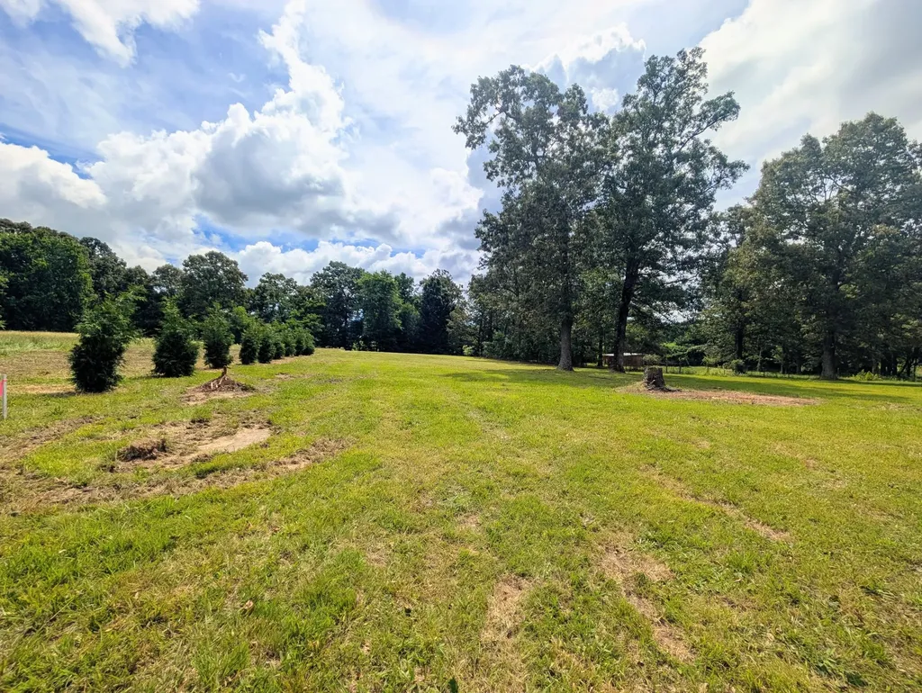 1168 W Green Hill Road Mc Minnville TN 37110