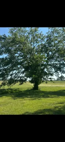 591 White Road Portland TN 37148
