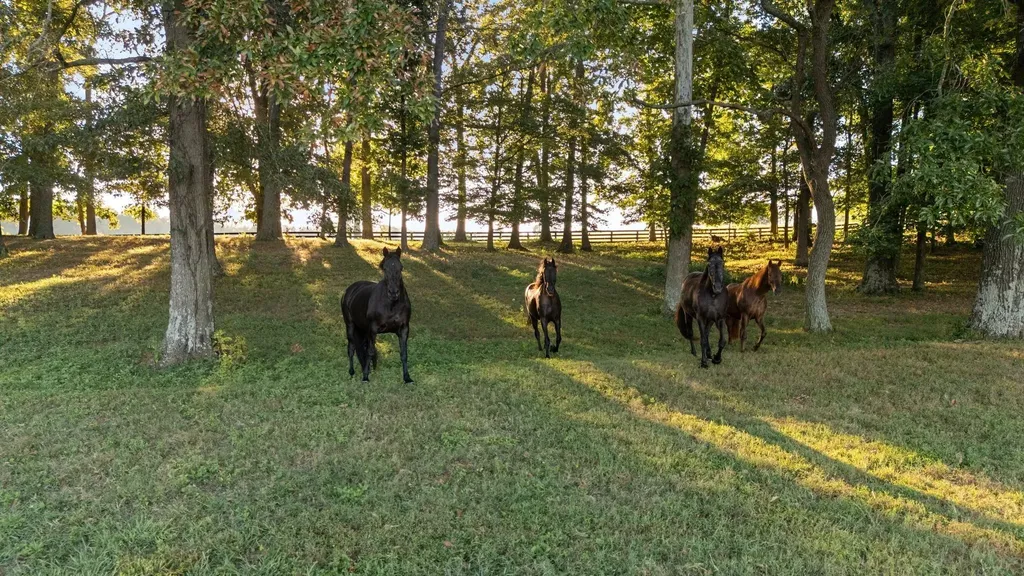 1421 Lawrence Lane Springfield TN 37172