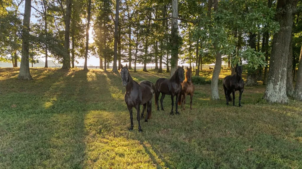1421 Lawrence Lane Springfield TN 37172