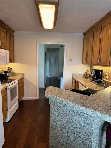 1039 Thompson Farms Street Lascassas TN 37085
