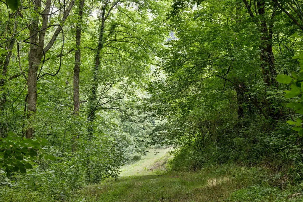 1784 Hurricane Creek Road Woodbury TN 37190