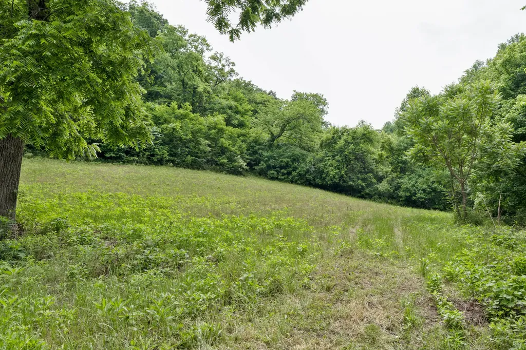 1784 Hurricane Creek Road Woodbury TN 37190
