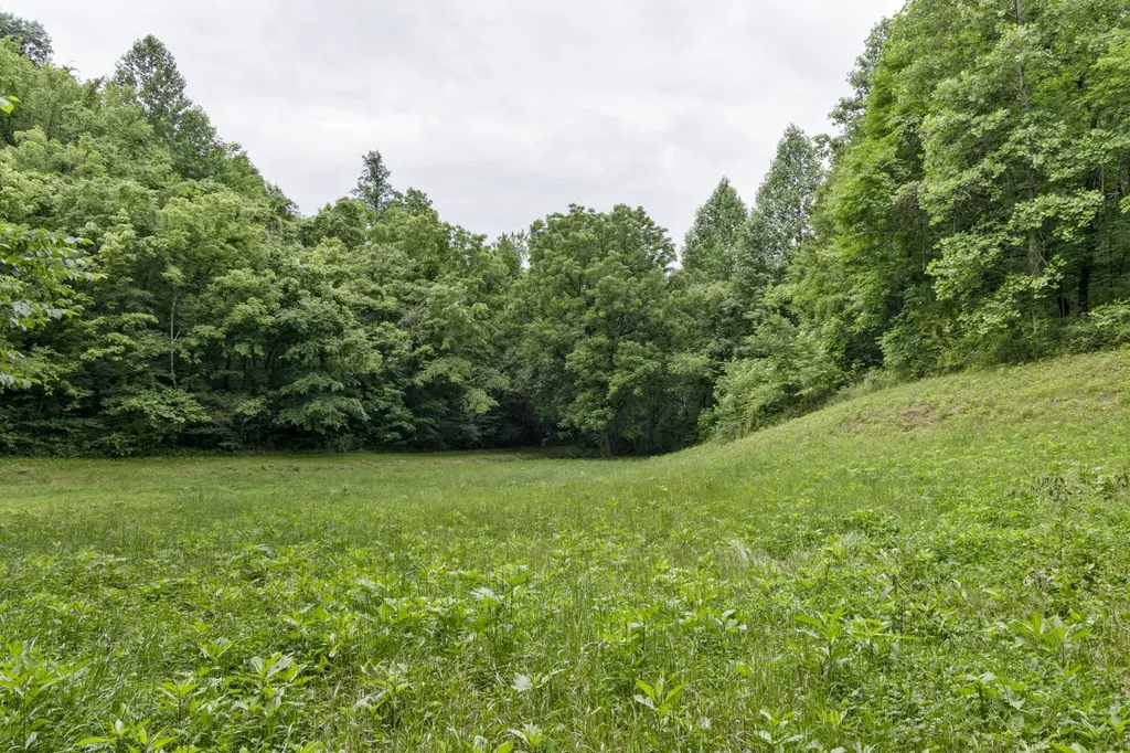 1784 Hurricane Creek Road Woodbury TN 37190