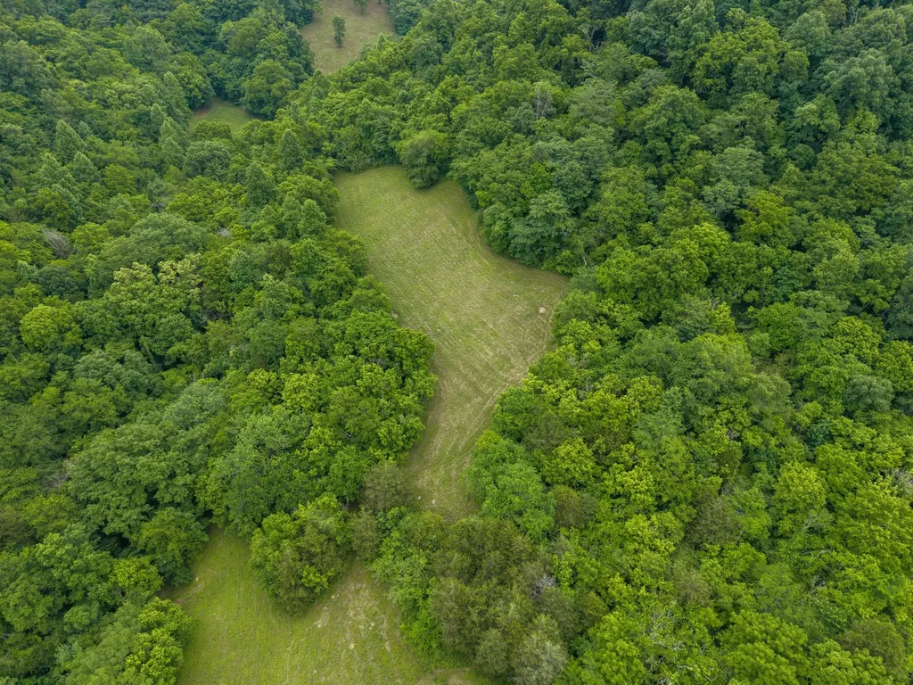 1784 Hurricane Creek Road Woodbury TN 37190