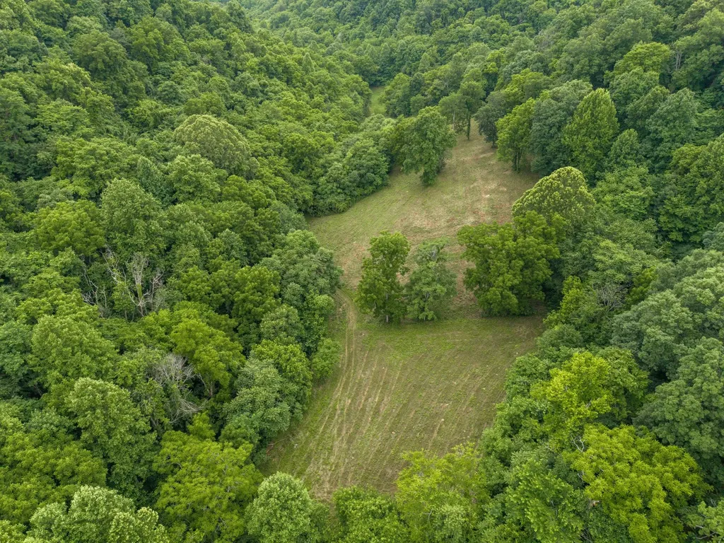 1784 Hurricane Creek Road Woodbury TN 37190