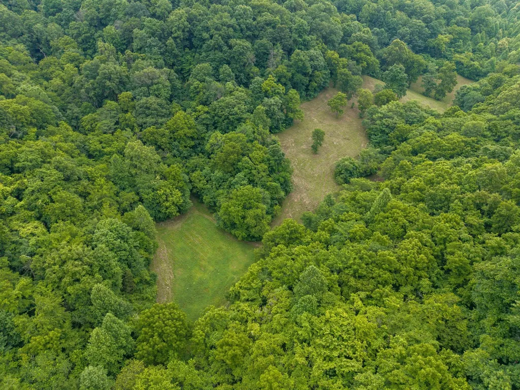 1784 Hurricane Creek Road Woodbury TN 37190