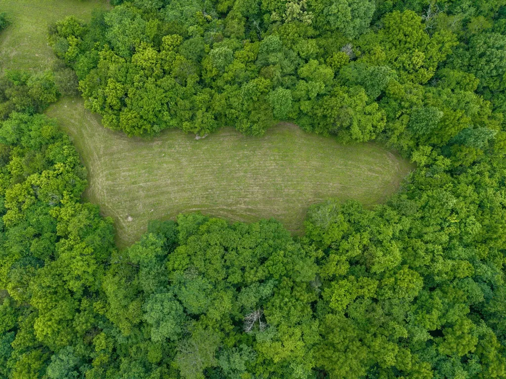 1784 Hurricane Creek Road Woodbury TN 37190