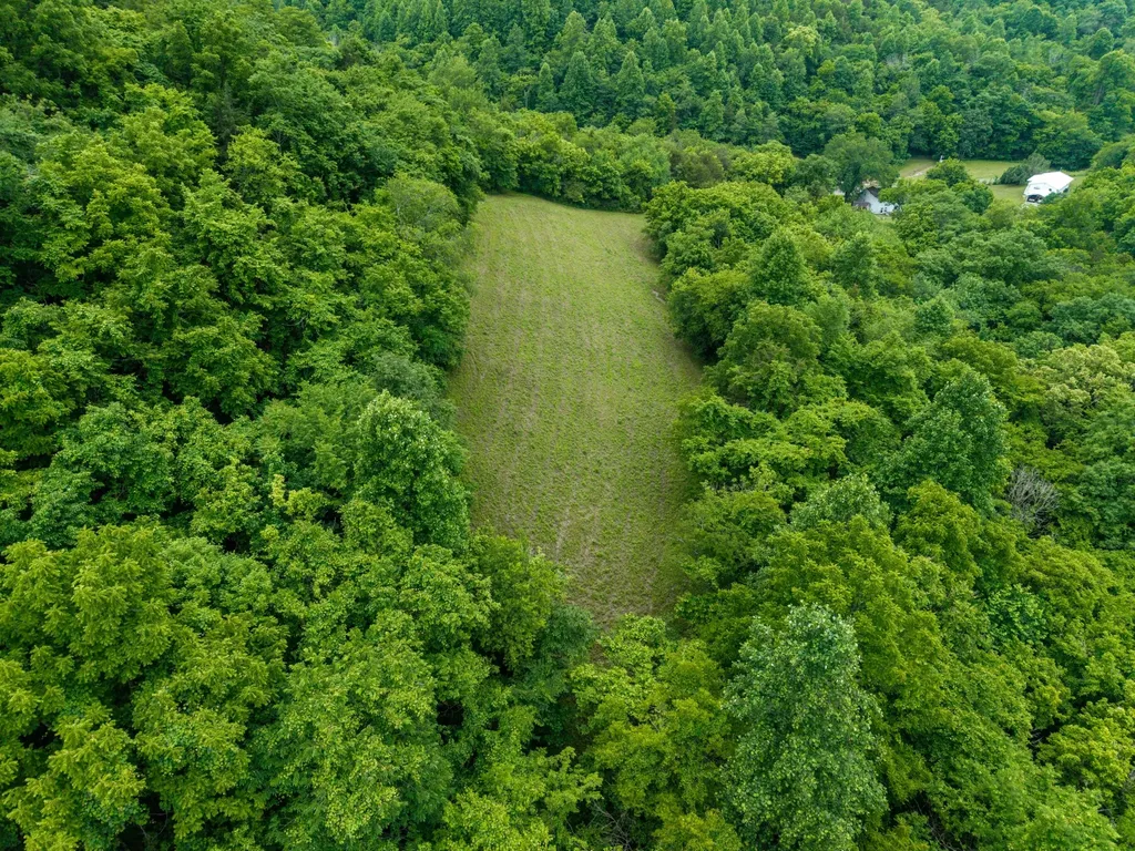 1784 Hurricane Creek Road Woodbury TN 37190