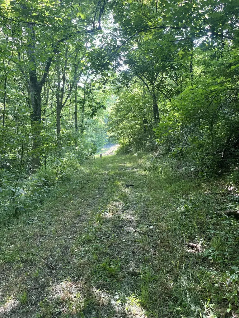 1784 Hurricane Creek Road Woodbury TN 37190