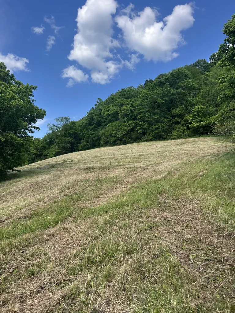 1784 Hurricane Creek Road Woodbury TN 37190