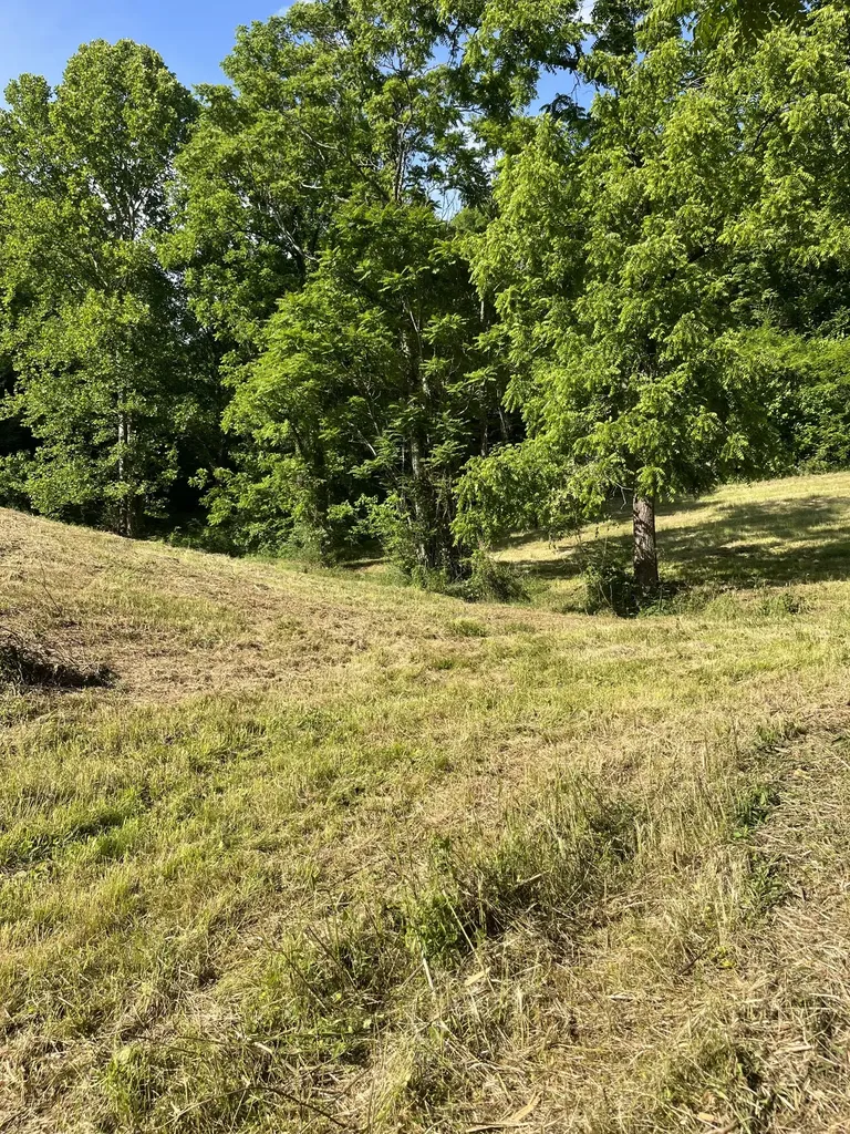 1784 Hurricane Creek Road Woodbury TN 37190