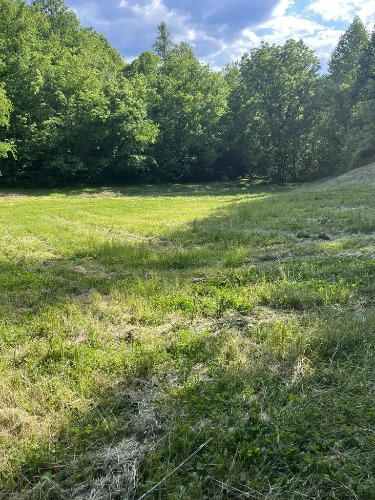 1784 Hurricane Creek Road Woodbury TN 37190