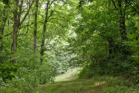 1784 Hurricane Creek Road Woodbury TN 37190