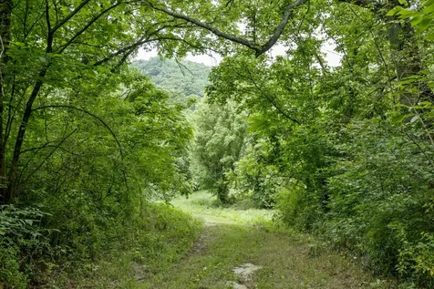 1784 Hurricane Creek Road Woodbury TN 37190