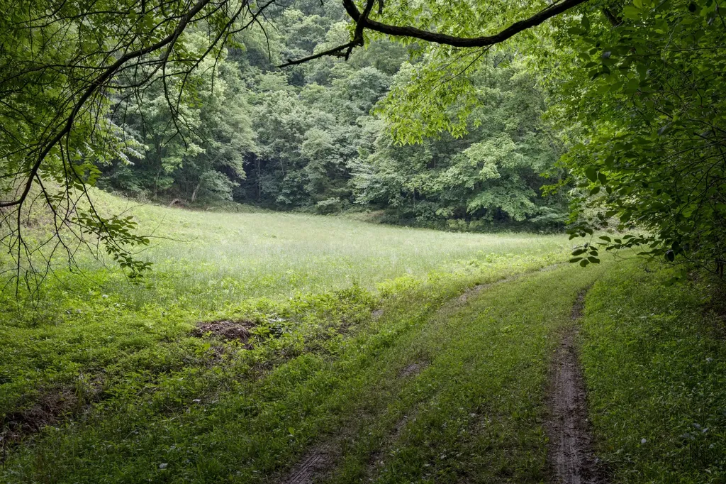 1771 Hurricane Creek Road Woodbury TN 37190