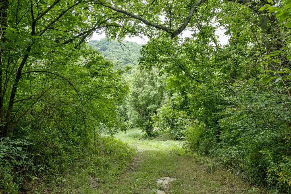 1771 Hurricane Creek Road Woodbury TN 37190