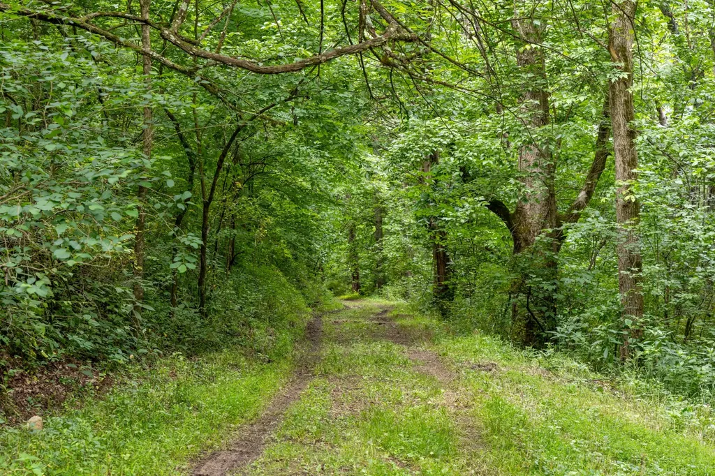 1771 Hurricane Creek Road Woodbury TN 37190