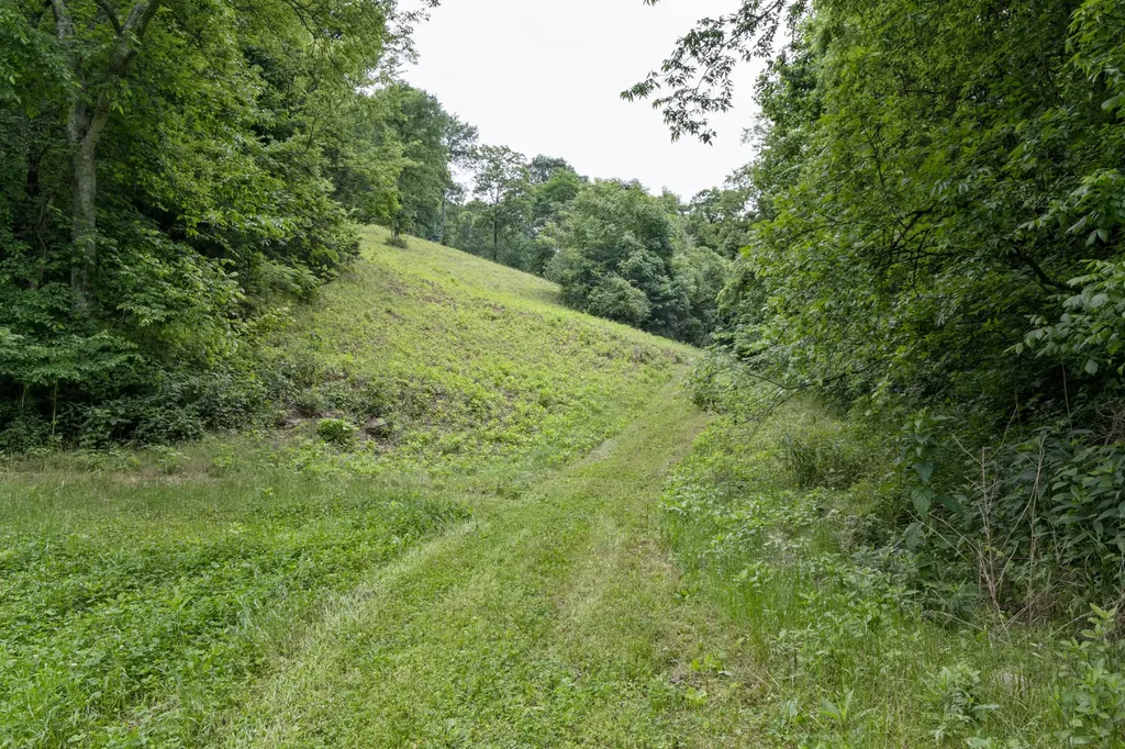 1771 Hurricane Creek Road Woodbury TN 37190