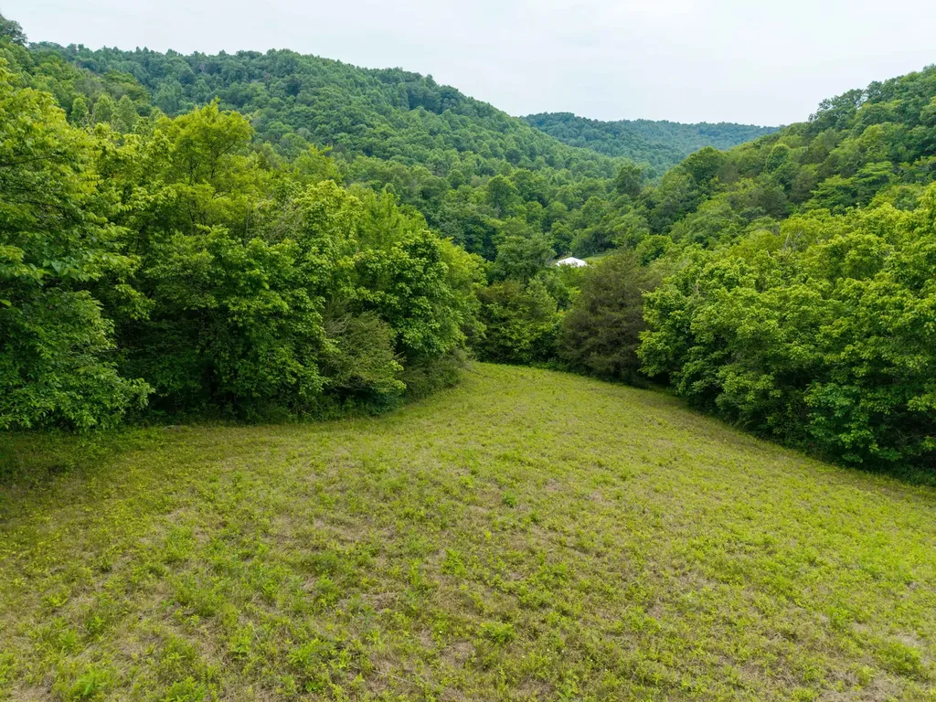 1771 Hurricane Creek Road Woodbury TN 37190
