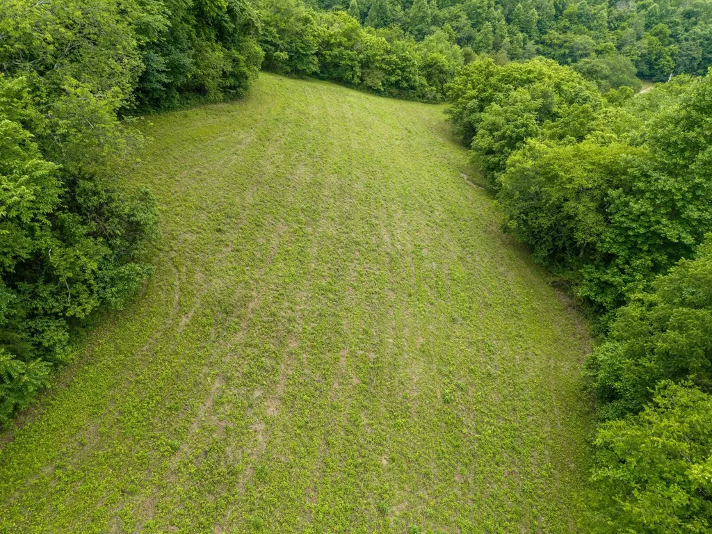 1771 Hurricane Creek Road Woodbury TN 37190