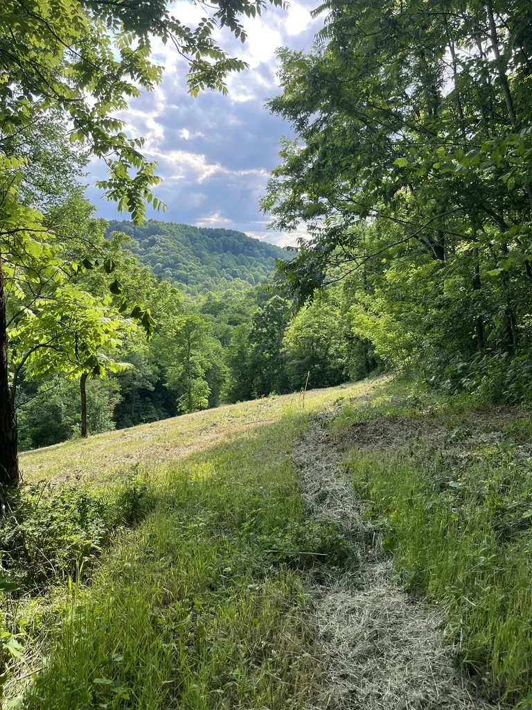 1771 Hurricane Creek Road Woodbury TN 37190