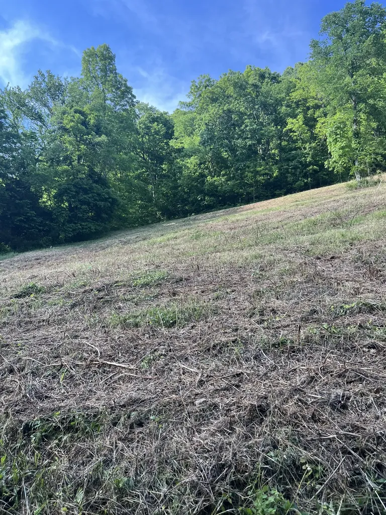 1771 Hurricane Creek Road Woodbury TN 37190