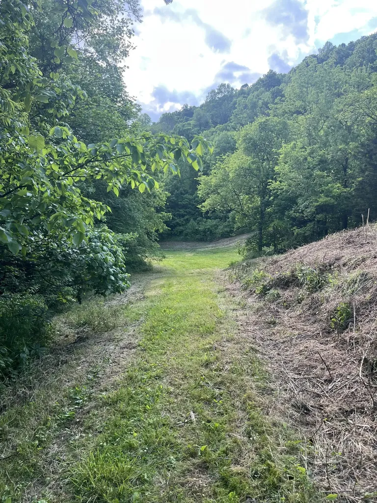 1771 Hurricane Creek Road Woodbury TN 37190