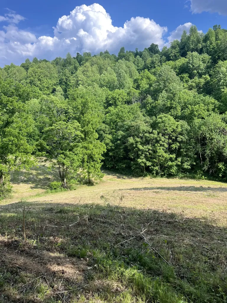 1771 Hurricane Creek Road Woodbury TN 37190