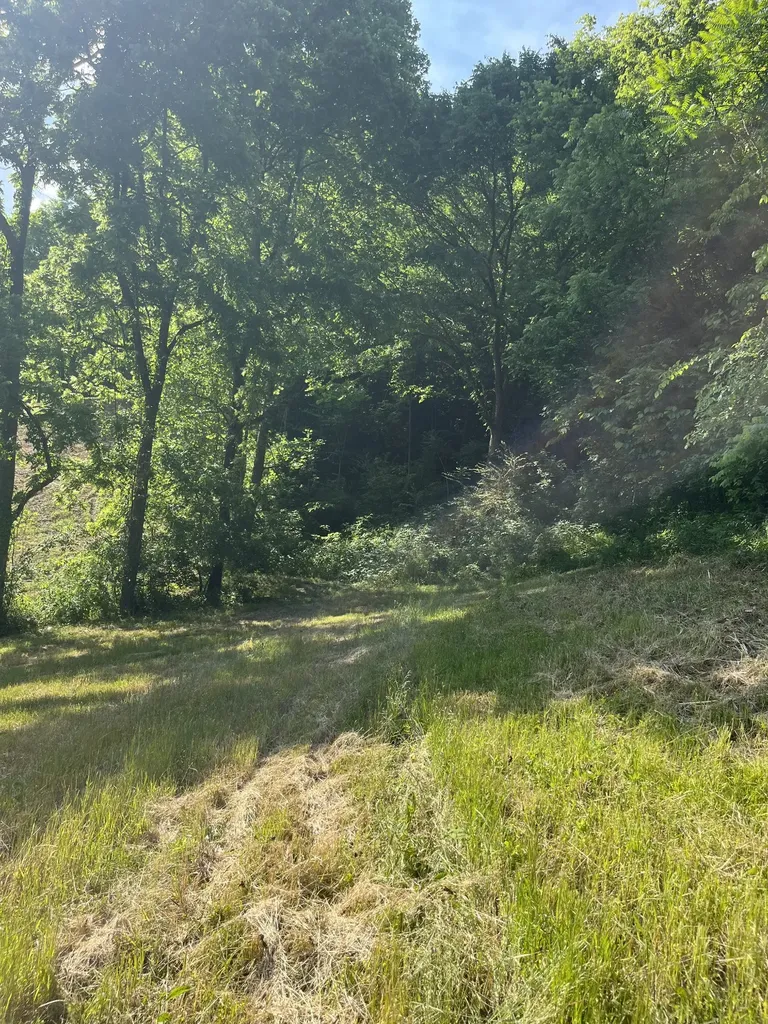 1771 Hurricane Creek Road Woodbury TN 37190