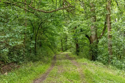 1771 Hurricane Creek Road Woodbury TN 37190
