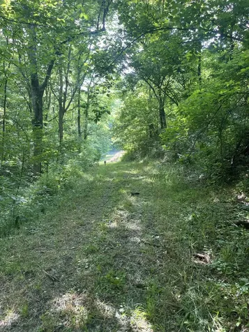 1771 Hurricane Creek Road Woodbury TN 37190
