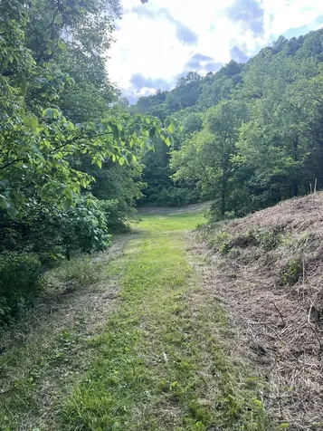 1771 Hurricane Creek Road Woodbury TN 37190