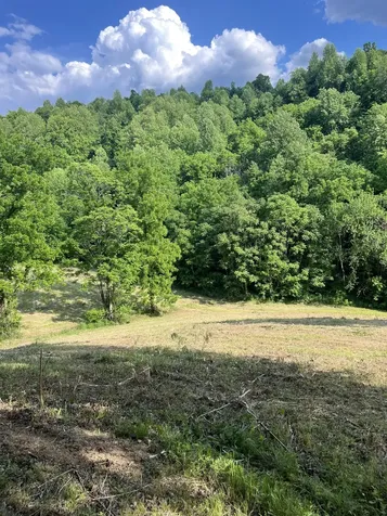 1771 Hurricane Creek Road Woodbury TN 37190