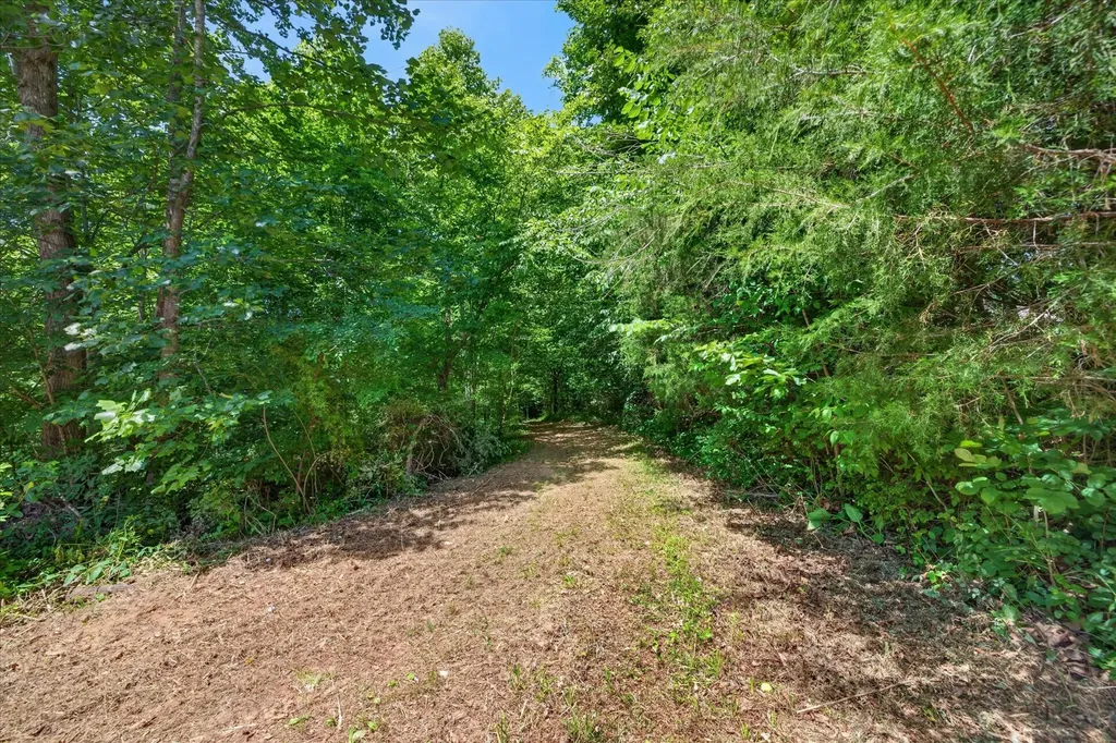 1035 S Ridge Trail Clarksville TN 37043