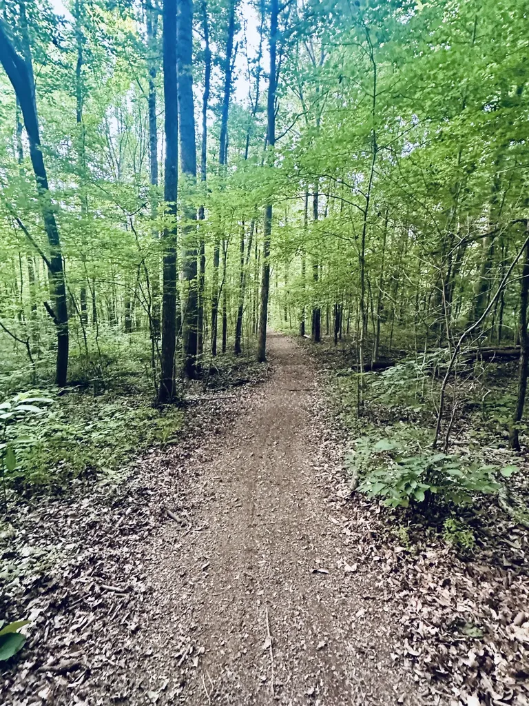 1035 S Ridge Trail Clarksville TN 37043