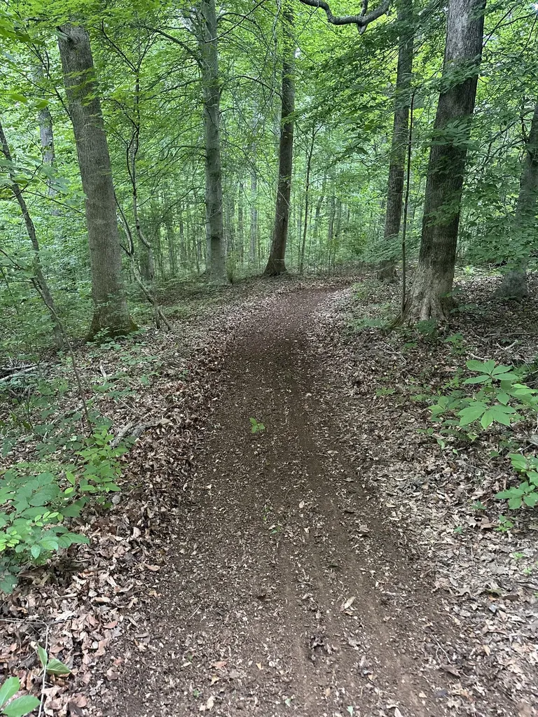 1035 S Ridge Trail Clarksville TN 37043