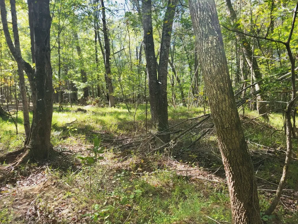 3 Coal Banks Road Sparta TN 38583