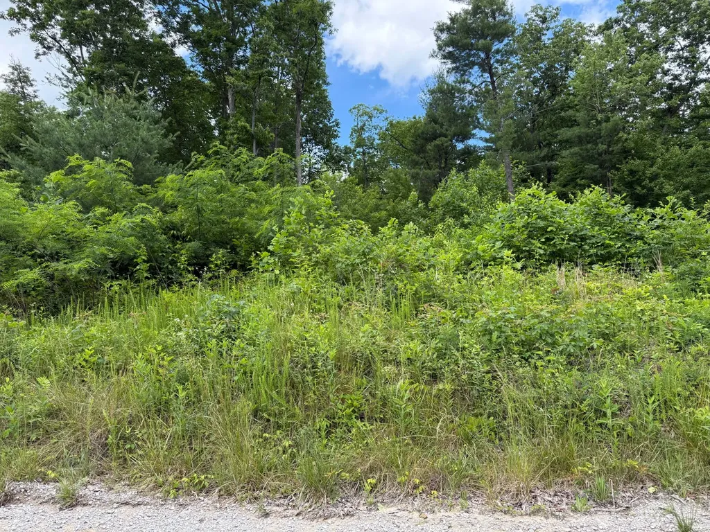 3 Coal Banks Road Sparta TN 38583