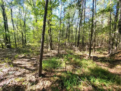 3 Coal Banks Road Sparta TN 38583