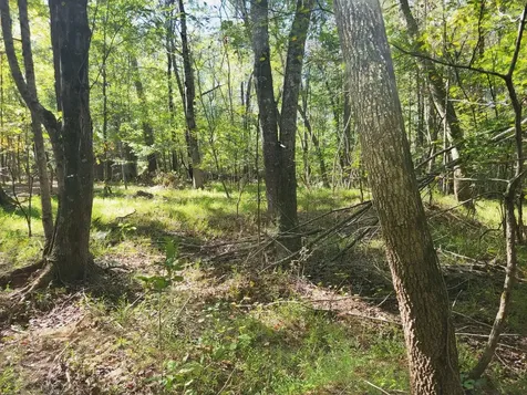 3 Coal Banks Road Sparta TN 38583