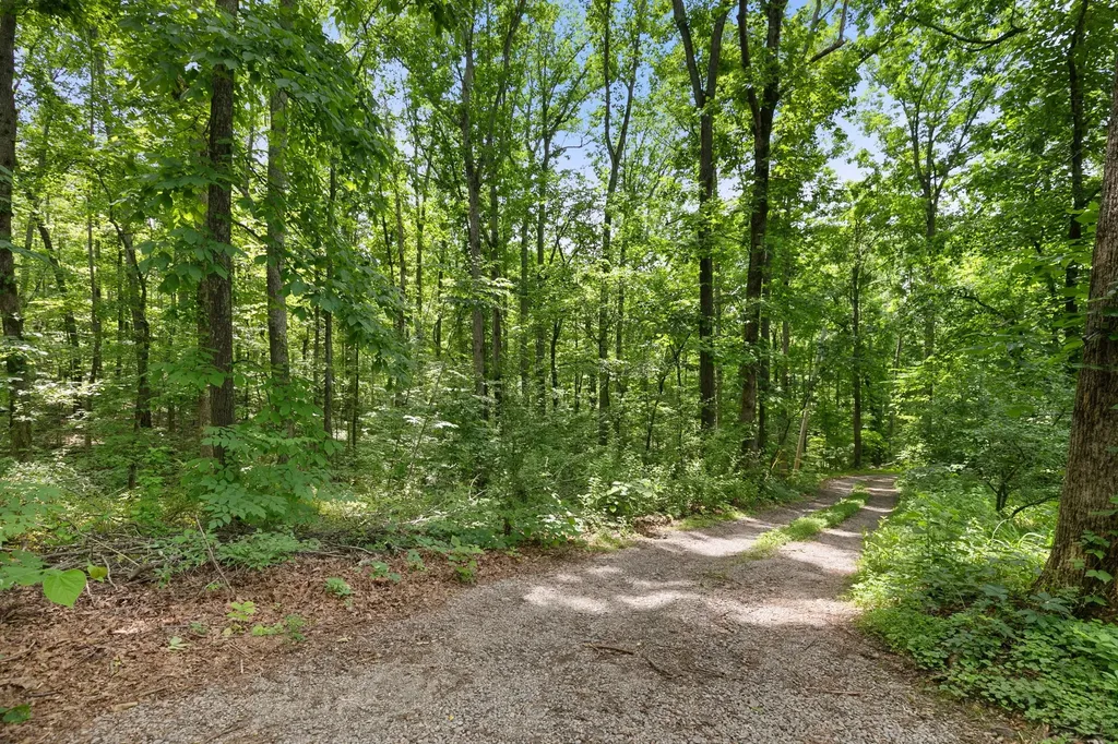 9849 Haynes Lane Bon Aqua TN 37025