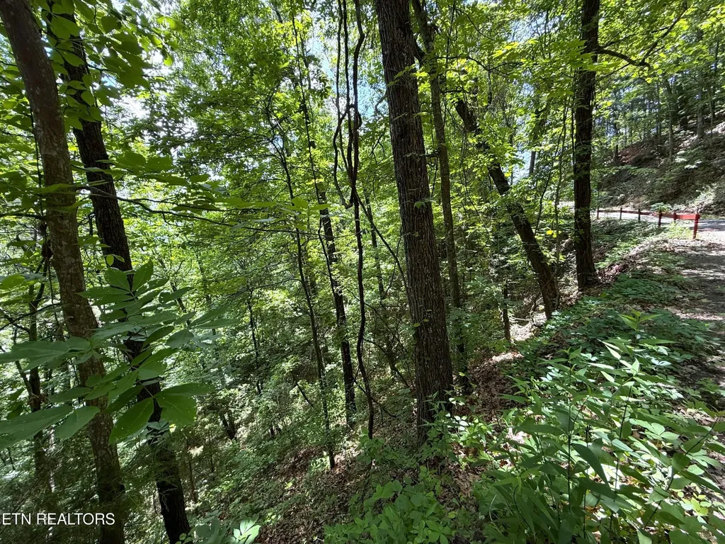 0 Aintree Drive Sevierville TN 37876