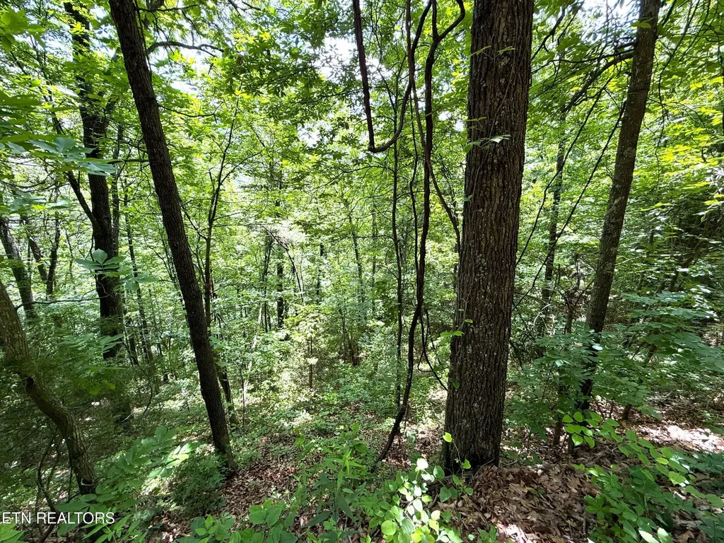 0 Aintree Drive Sevierville TN 37876